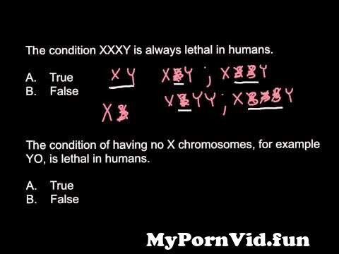 Www Xxx Xxy Video - Possible or not: XXY; XXXY; XXYY; XXXXY and YO genotypes? from bantan10  sexy video xxxxxy Watch Video - MyPornVid.fun