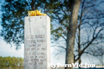 The Reason Visitors Leave Bananas, Not Flowers, On the Grave of ...