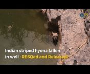 RESQCT - ANIMAL RESCUES INDIA