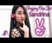 Sani Music Indonesia Official