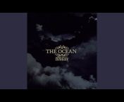 The Ocean Collective