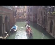 All About Venice