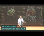 Jean-Marie LE MINOR - Anatomie