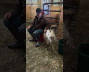 One Happy Ass Farm