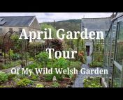 My Wild Welsh Garden