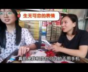 Swallows in Meicheng Vlog