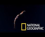 國家地理雜誌 National Geographic Magazine