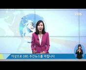 DDM TV 동대문구청