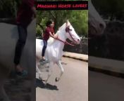 MARWARI HORSE LOVERS