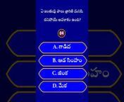 Telugu Intresting Gk Quiz