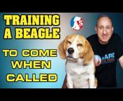 Saro Dog Training