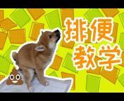 柴犬JOJOu0026KUIKUI - 柴犬夫妻