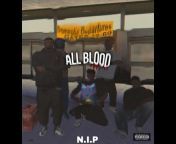 N.I.P - Niggas In Power