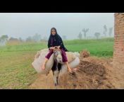 Donkey rider lady