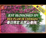 Chengdu Plus