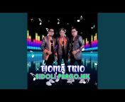 TIOMA TRIO - Topic