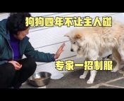 小动物故事88【官方频道】