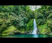 Relaxing Nature Sounds HD