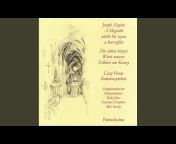 Franz Liszt Chamber Orchestra - Topic