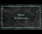 10 Hour Loop