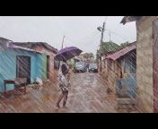 African Walk Videos