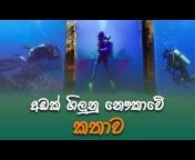 Sri Lankan Diver