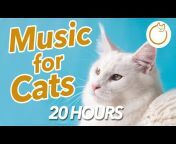Calm Your Cat - Relaxing Music and Tv For Cats
