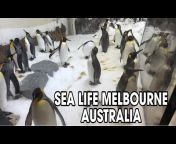 Sonu Australia Vlogs