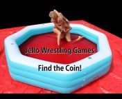 Jello Wrestling Supply