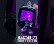 Black Seed Toy