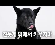 강형욱의 보듬TV