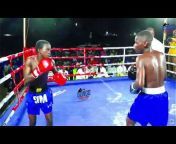 Bongo Boxing Safari