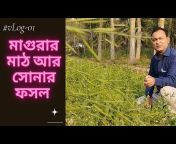 Village Life Bangladesh By MLB