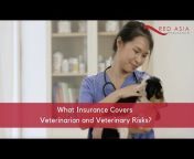 Red Asia Insurance