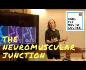 CSHL Drosophila Neurobiology Course