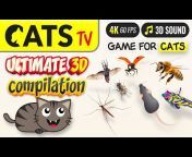 CATS TV - Game for Cats