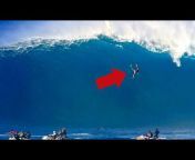 Surf&#39;s Up