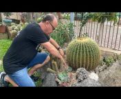 Vando e Fabi Cactus e Suculentas