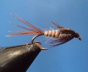 Hammer Creek Fly Fishing