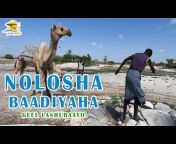 Somali Safari Tour