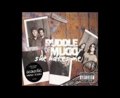 Puddle Of Mudd Fans
