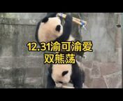熊猫真是可爱YA--