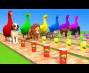 Animals Animation Plus