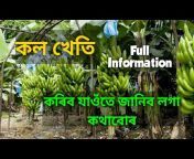 Tilak Kheti u0026 Farming information