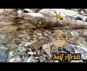 Saif Afridi