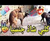 Pro-Canin خالد بادي