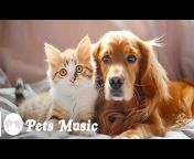 Pets Music Studio
