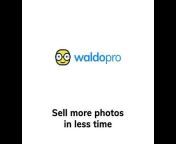 Waldo Photos