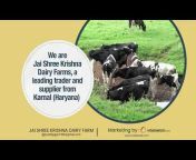 Jai Shree Krishna Dairy Farms