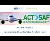 ICAO Environment